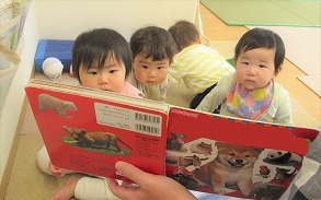 子ども達は絵本が大好き。保育者が読んでくれる絵本にグッと引き込まれていますね。