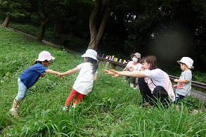 慶應のキャンパス内は自然豊かな面白い遊び場です。							