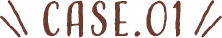 case.01