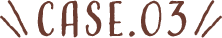 case.03
