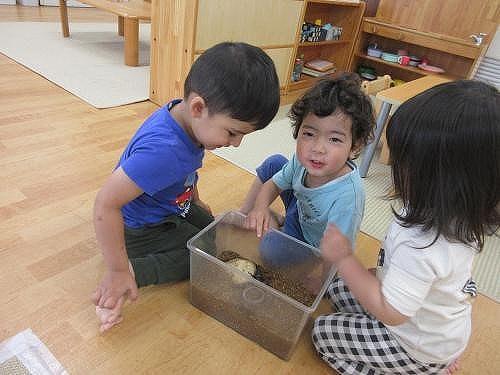 画像１.jpg