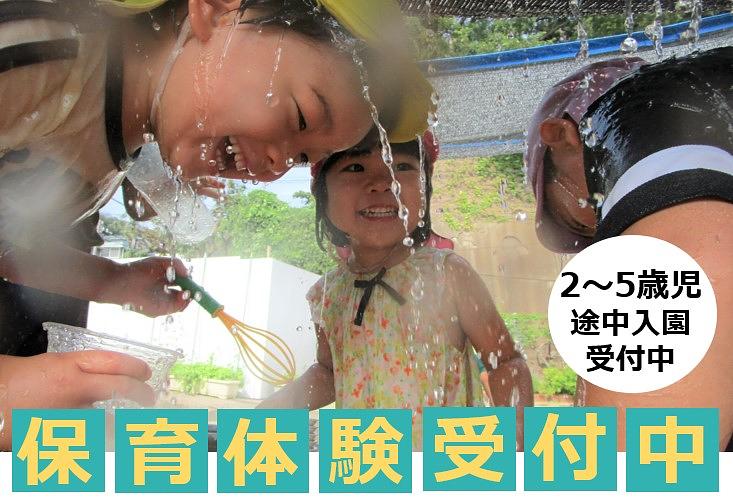 ✨2～5歳児 途中入園可能＆保育体験(1日2組限定）のお知らせ