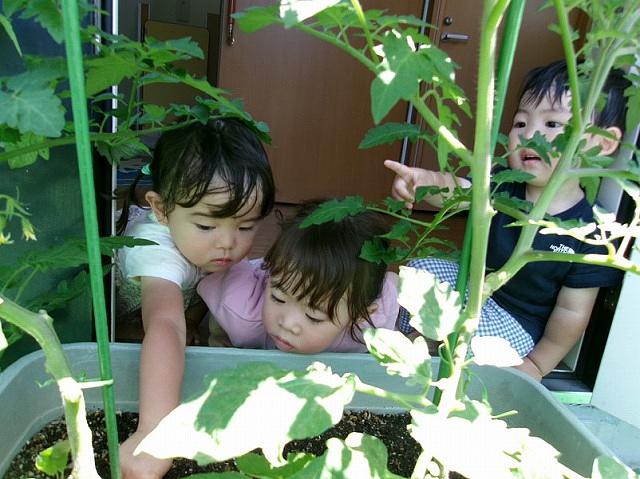 保土ヶ谷②.jpg