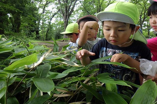 お世話を通して命を学ぶ#020生き物は保育者一人分