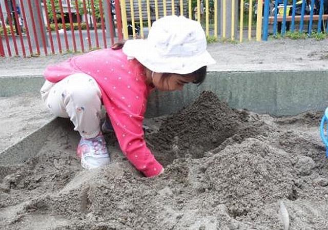 画像４.jpg