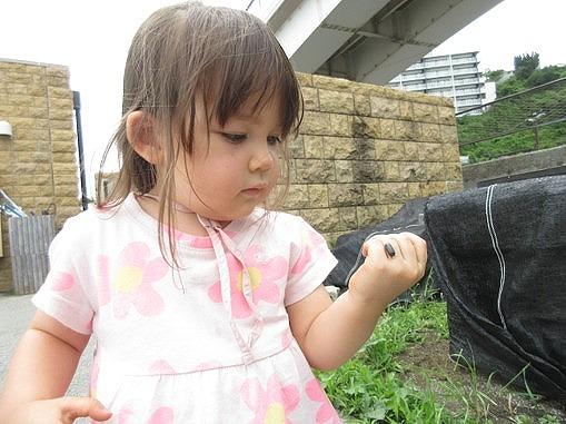画像4.jpg