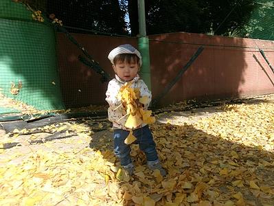 秋の自然に触れたよ