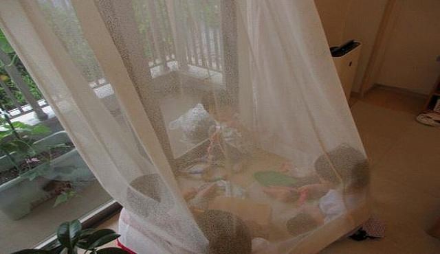子どもたちのおうち