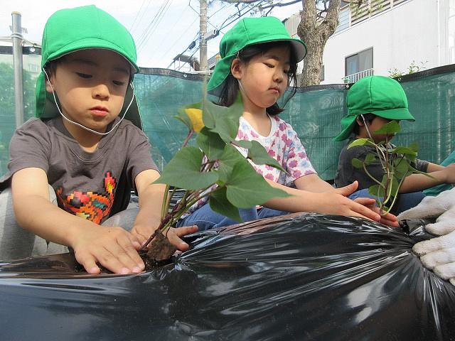 画像4.jpg