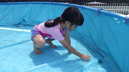 夏の遊び