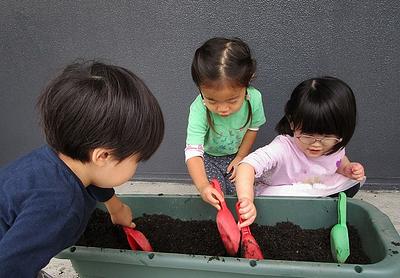 綺麗に咲くかな
