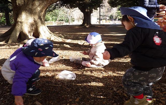 たくさん拾ったよ