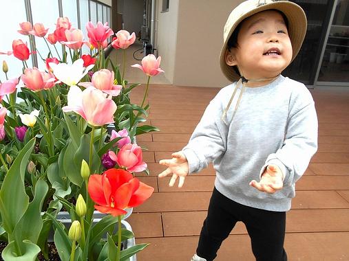 お花見日和