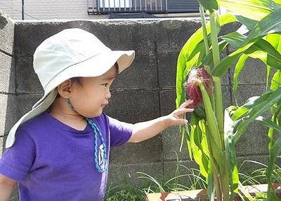 これ、なんだろう…？