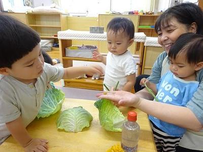 おやさいタッチ🥬✋