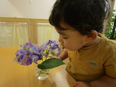 季節の植物を大切に