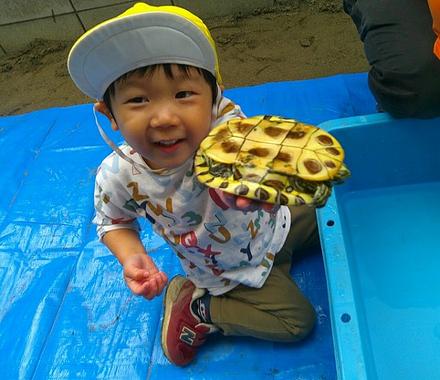 水の生き物たちが保育園に来ました！