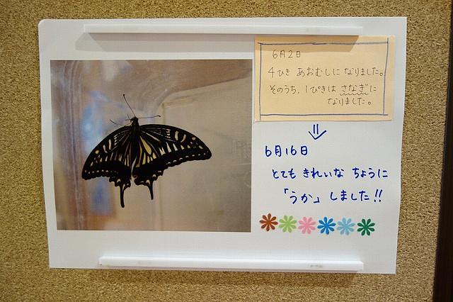 画像4.jpg