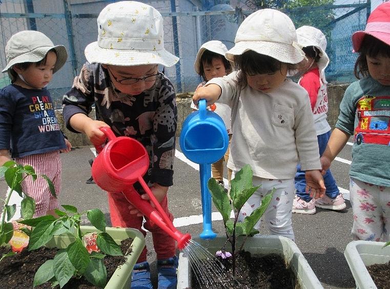 2024年度プランター農園始動！