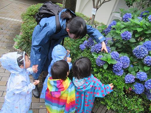 サーチャー(2歳児)クラス・ワクワクの雨の日散歩