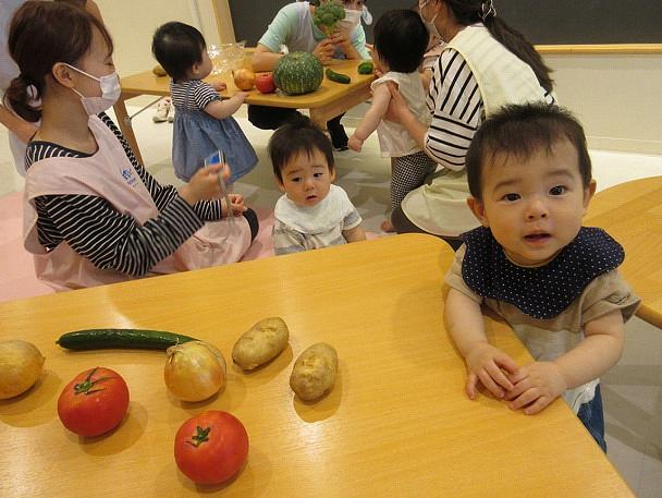 野菜フェス