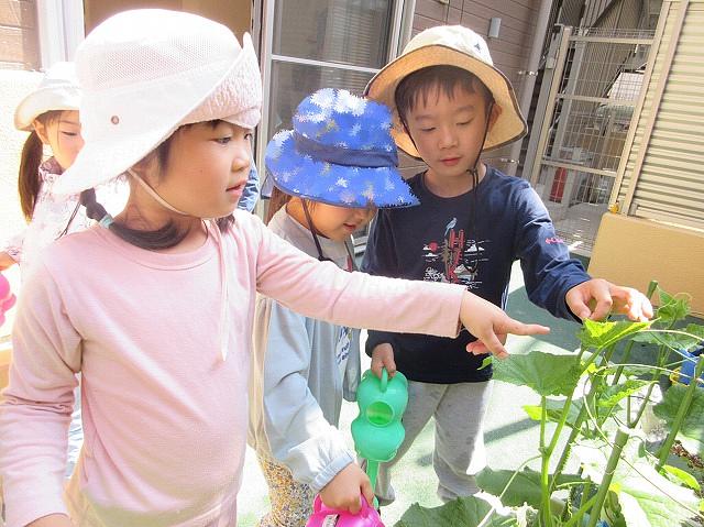 画像18.jpg