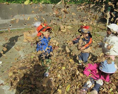 葉っぱ、いっぱい！