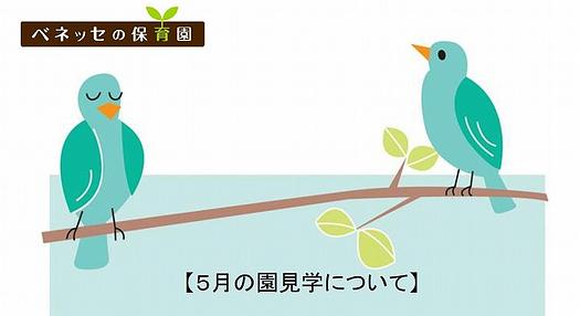 ５ 月の園見学について《予約開始》 ４ 月２ １ 日 ９：００