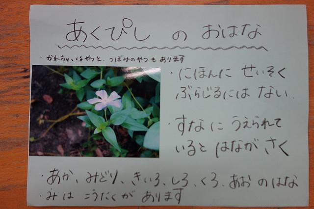 画像7.jpg