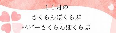 １１月🍒さくらんぼくらぶ ベビーさくらんぼくらぶ🍒