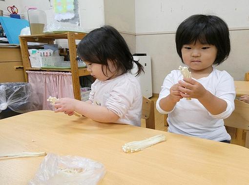 きのこさわる？