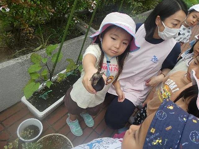 画像2.jpg