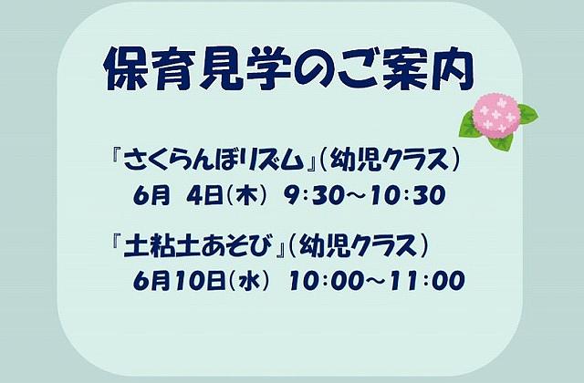 保育見学のご案内【6/4（木）🍒・6/10（水）🌱】