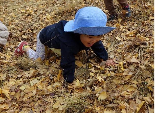 秋と冬をいっぱい感じた自然物遊び（２歳児サーチャークラス）