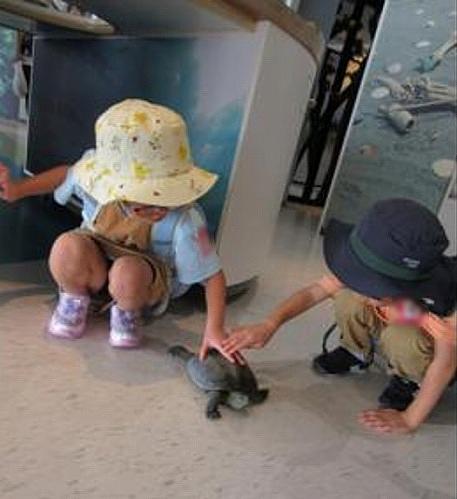 水族館へれっつぎょー!