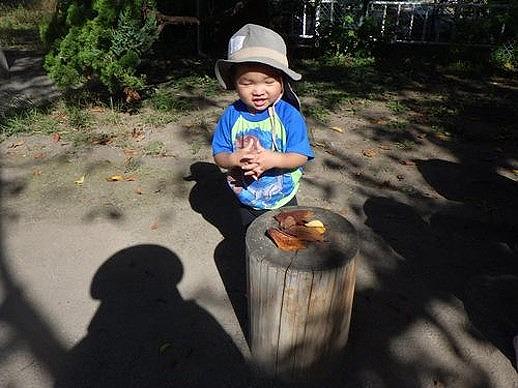 落ち葉屋さん、開店！