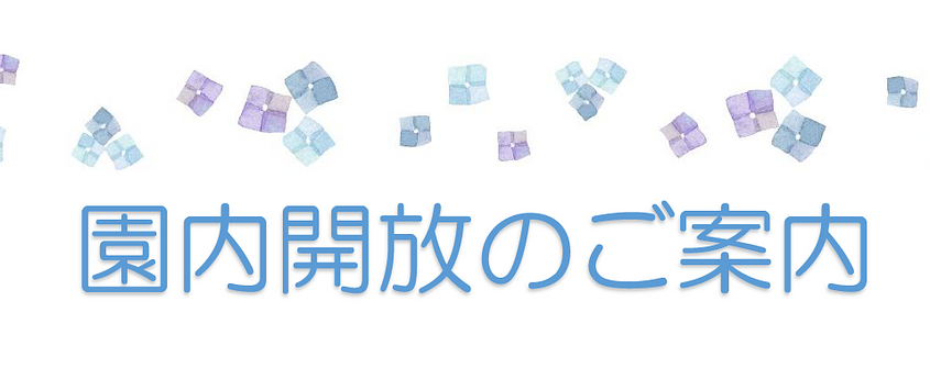 🐸6月・園内開放のご案内✨