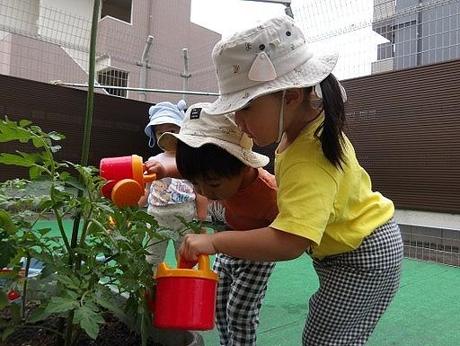 画像4.jpg