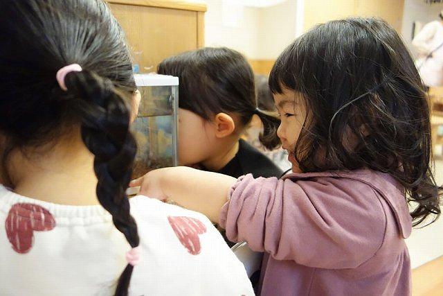 写真⑤.jpg