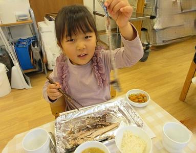 魚について知ろう🐟