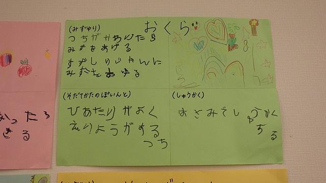 オクラ初収穫!