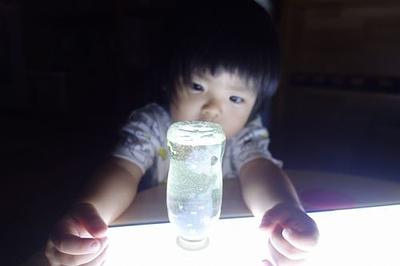 なぜ光る？なぜ光らない？