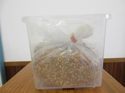味噌づくりに挑戦