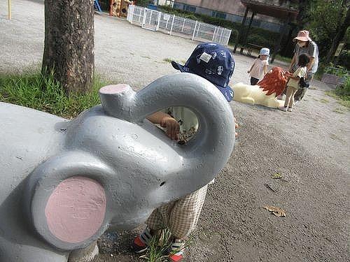 1.jpg