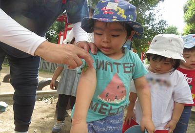 生き物は保育者一人分							