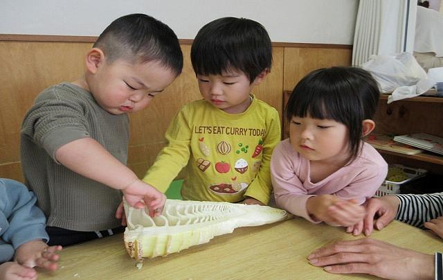 本山②.jpg