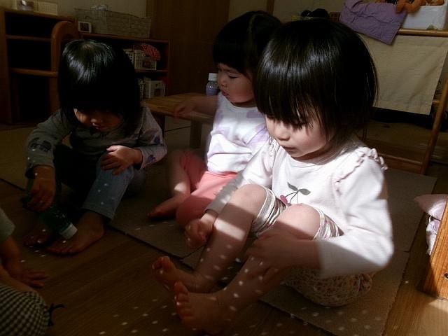 青葉②.jpg