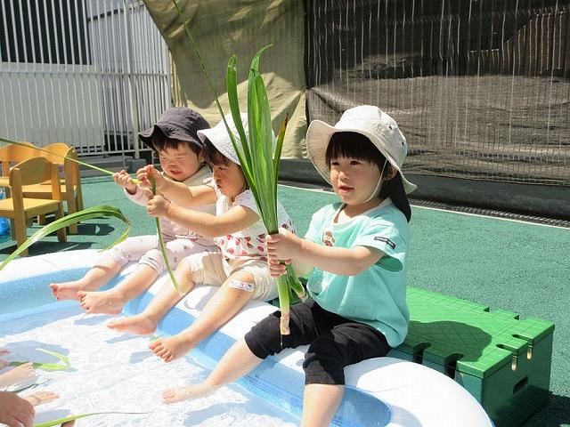 画像2.jpg