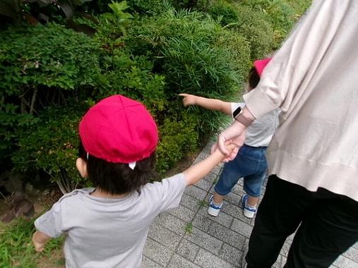 あじさい探しに出発！！
