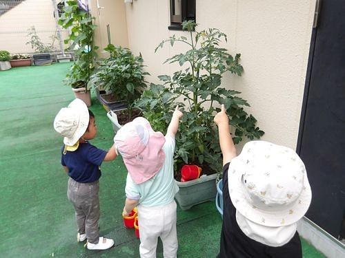 画像3.jpg